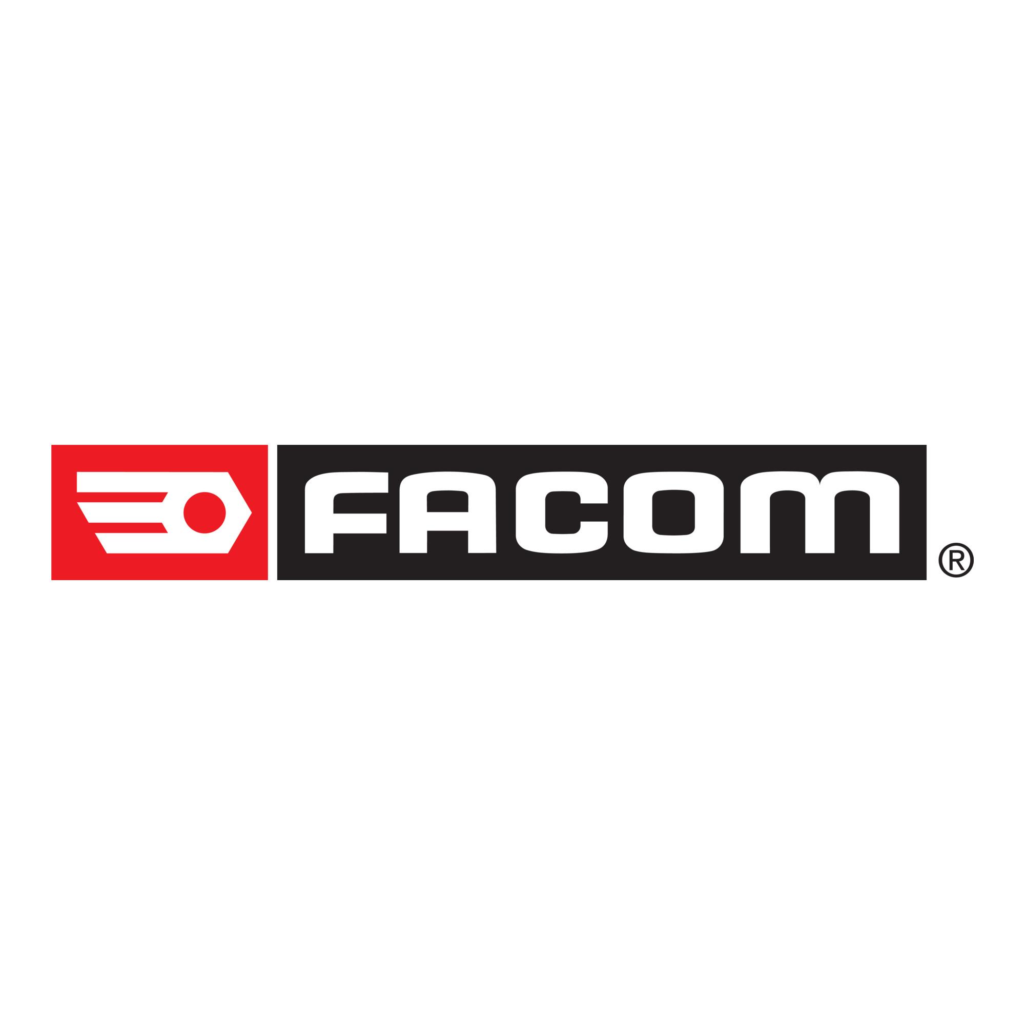 Facom Knarren-Ringmaulschlüssel 18mm Gelenk (467BF.18)