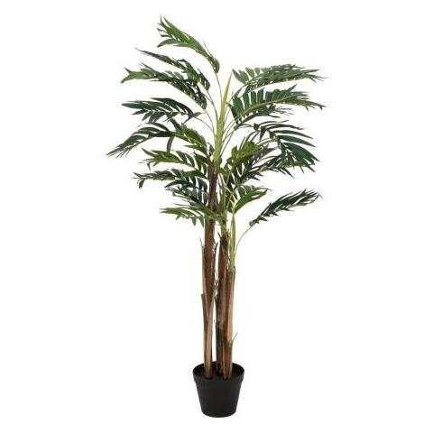 Europalms Areca Palme (110 cm) (82509434)