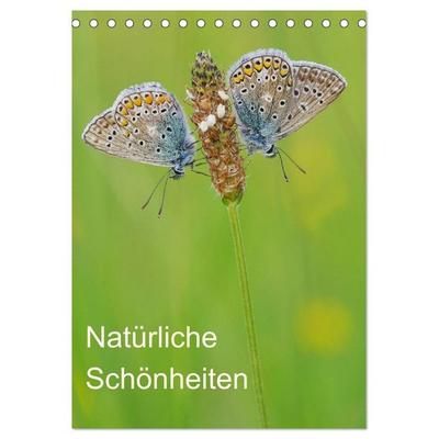 Insekten,Schönheiten der Natur (Tischkalender 2026 DIN A5 hoch), CALVENDO Monatskalender