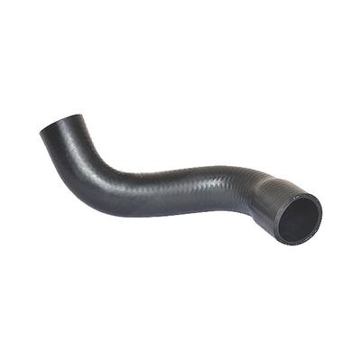 Bugiad Ladeluftschlauch [Hersteller-Nr. 88569] für Fiat