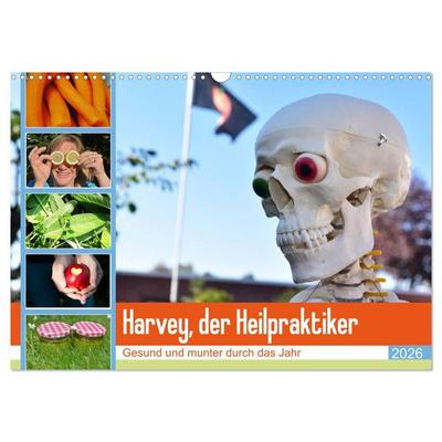 Harvey, der Heilpraktiker (Wandkalender 2026 DIN A3 quer), CALVENDO Monatskalender