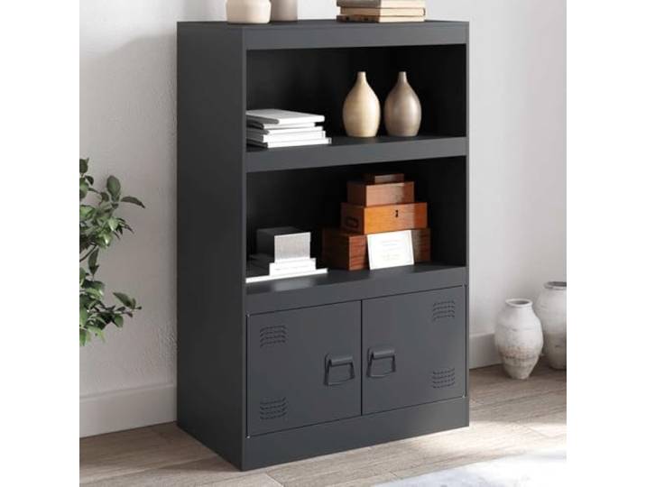 RJPLMFV Anrichte, Anthrazit, 67 x 39 x 107 cm, Stahl Robuste Aufbewahrung, 2 Griffe, einfache Reinigung, Wandmontage erforderlich