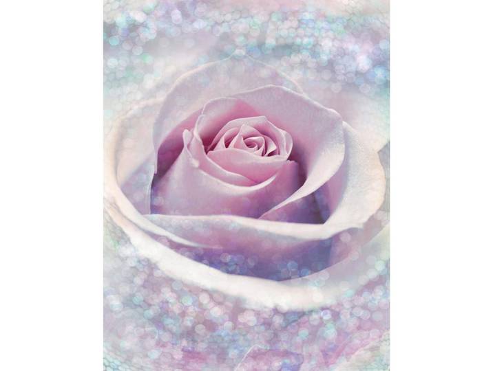 Komar Vliestapete, Blau, Rosa, Weiß, Rose, 200x260 cm, Fsc, Tapeten & Wandverkleidungen, Vliestapeten