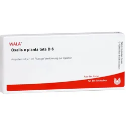 Oxalis E planta tota D 6 Ampullen