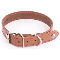 Martin Sellier Flash (Hund, Spazieren), Halsband + Leine