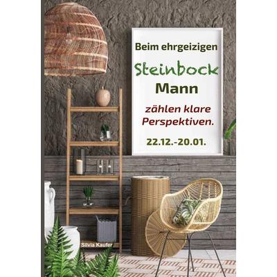 Beim ehrgeizigen Steinbock Mann zählen klare Perspektiven, Taschenbuch von Silvia Kaufer, BoD – Books on Demand, 978-3-7597-0796-3