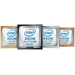 HPE Intel Xeon Gold 5217 - 3 GHz - 8 Kerne - 16 Threads (P02589-B21)