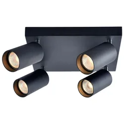 Tracon, Deckenstrahler, Deckenstrahler (GU10)