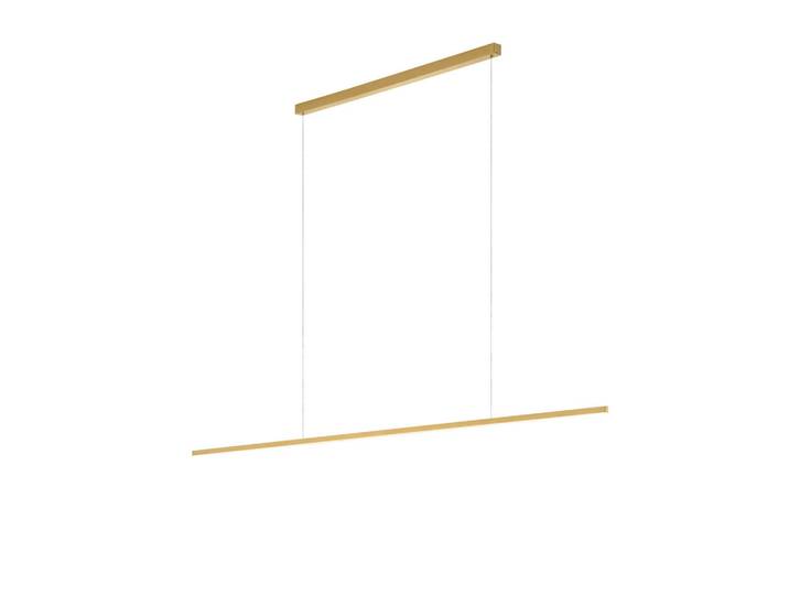 Helestra Led-Hängeleuchte Loopy, Goldfarben, Metall, 3x200x151 cm, RoHS, Lampen & Leuchten, Innenbeleuchtung, Hängeleuchten, Pendelleuchten