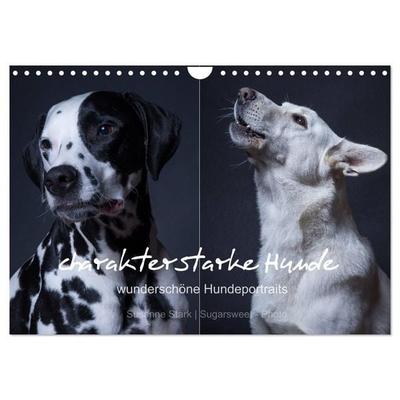 charakterstarke Hunde, wunderschöne Hundeportraits (Wandkalender 2027 DIN A4 quer), CALVENDO Monatskalender