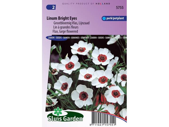 Linum Grandiflorum zaden Bright Eyes vlas