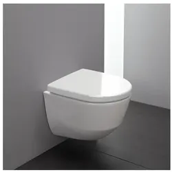 LAUFEN Pro Wand-Tiefspül-WC H8209660000001 weiß, spülrandlos, Ausladung 53cm
