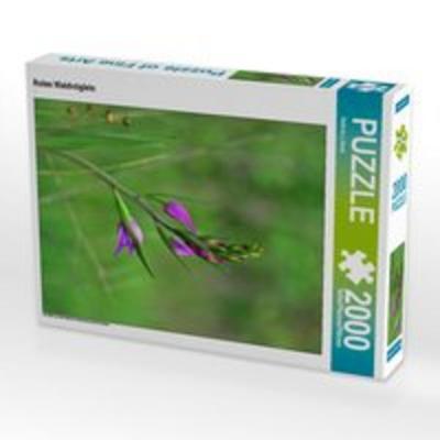 CALVENDO Puzzle Rotes Waldvöglein | 2000 Teile Lege-Größe 90 × 67 cm Foto-Puzzle für glückliche Stunden