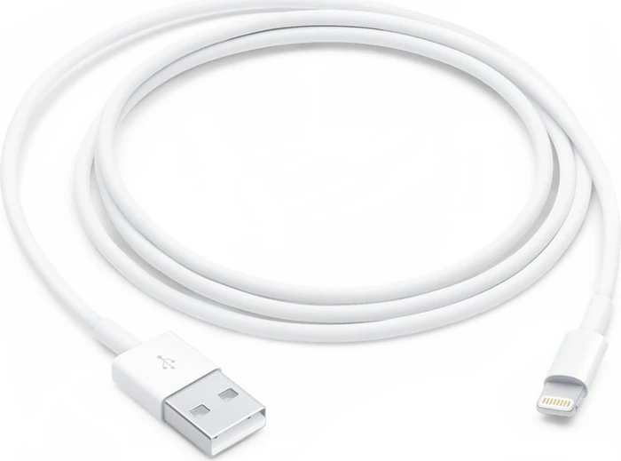 Apple Lightning to USB Cable (1m)