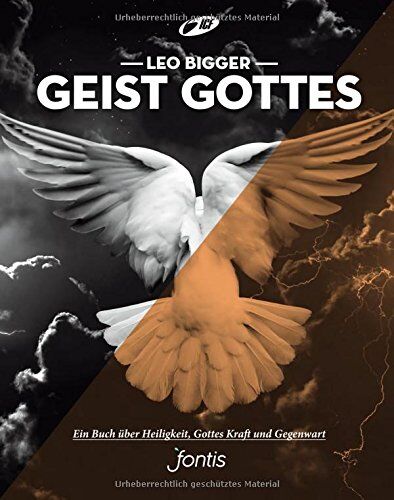 Leo Bigger - Geist Gottes: Ein Buch über Heiligkeit, Kraft und Gottes Gegenwart - Preis vom 09.10.2026 07:28:09 h