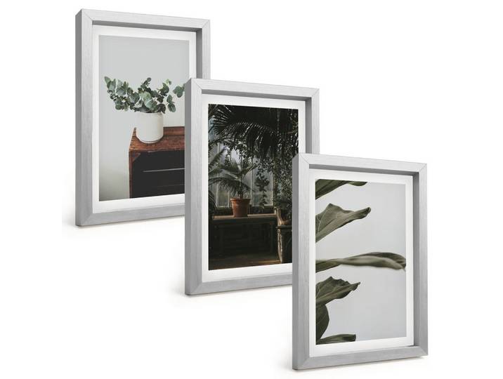 Tulup Bilder SET 3er Set - 20x30 cm Silberner Rahmen - Rustikale Topfpflanzen, Silberfarben, Kunststoff, Rechteckig, 20x30 cm, Fotografie, Bilder & Rahmen, Bilder