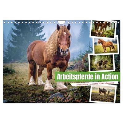 Arbeitspferde in Action (Wandkalender 2027 DIN A4 quer), CALVENDO Monatskalender