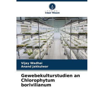 Gewebekulturstudien an Chlorophytum borivilianum, Taschenbuch von Vijay Wadhai,Anand Jakkulwar, Verlag Unser Wissen, 978-620-7-17762-2
