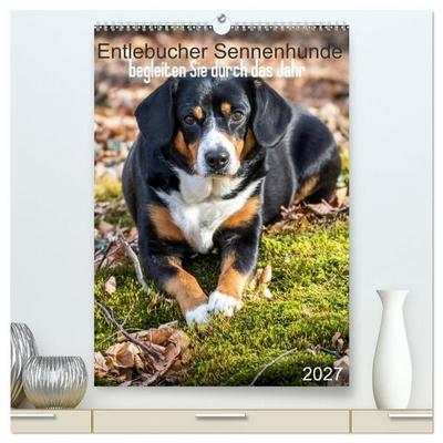 Entlebucher Sennenhunde begleiten Sie durch das Jahr (hochwertiger Premium Wandkalender 2027 DIN A2 hoch), Kunstdruck in Hochglanz