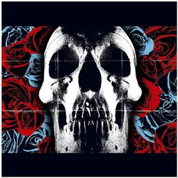 Warner Bros., Schallplatten, Deftones (Deftones)