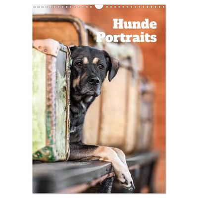 Hundeportraits - Monatskalender (Wandkalender 2027 DIN A3 hoch), CALVENDO Monatskalender