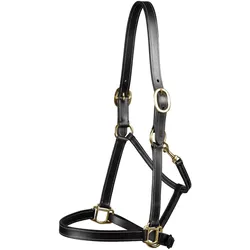 Premier Equine, Halfter