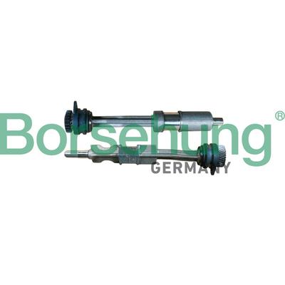 BORSEHUNG Arretierdorn, Ausgleichswelle b12429 für VW
