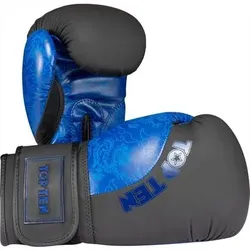 TOP TEN Boxhandschuhe „Dragon“, Größe 16 oz in Schwarz Schwarz