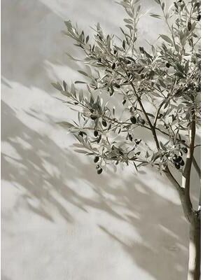 Inspired Living Elegant Olive & Lemon Botanical Canvas Wall Art For Living Room & Bedroom Decor c 20x30cm