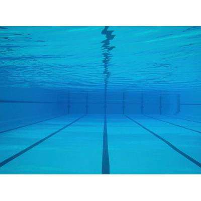 Fototapete PAPERMOON "Schwimmbecken", bunt, B:5m L:2,8m, Vlies, Tapeten