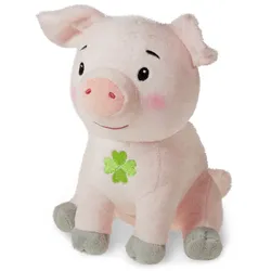 Geschenk für Dich Kleines Lieblings Schwein - rosa