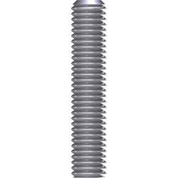 Reisser 2955 Gewindestange M12 100 mm Edelstahl A2 1 St.