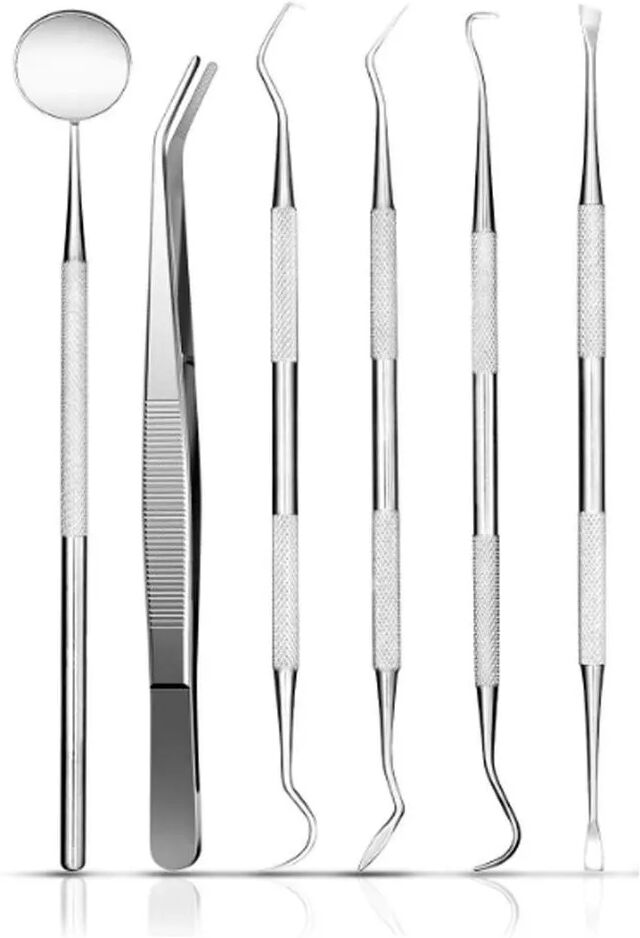 INF Kit d'hygiène dentaire professionnelle - 6 pièces avec étui