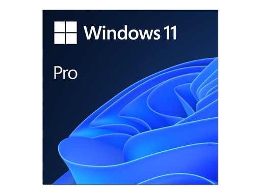 Microsoft Windows 11 Pro - Lizenz - 1 Lizenz - ESD - National (FQC-10572)