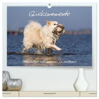 Glücksmomente - Unterwegs mit meinem Islandhund (hochwertiger Premium Wandkalender 2027 DIN A2 quer), Kunstdruck in Hochglanz