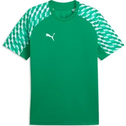Puma teamLIGA26 Jersey sport green-puma white-sport green (05) 3XL