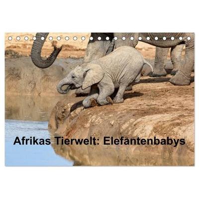 Afrikas Tierwelt: Elefantenbabys (Tischkalender 2027 DIN A5 quer), CALVENDO Monatskalender