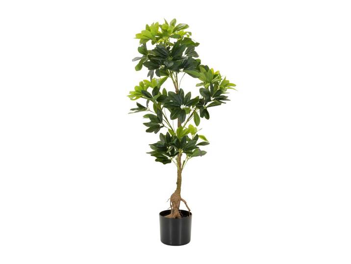 KUNSTPFLANZE SCHEFFLERA