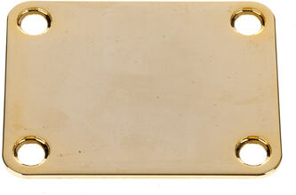 Harley Benton Parts HN001GD