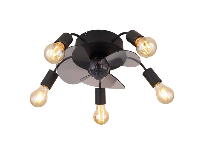 Globo Deckenventilator, Metall, 15 cm, CE, Winterbetrieb, Sommerbetrieb, Fernbedienung, Lampen & Leuchten, Innenbeleuchtung, Deckenlampe, Deckenlampen