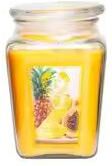 Uplift Picks 18oz Aroma Scented Candle Gift Luxury Scented Candle For Women Relaxing Home Fragrance pineapple Papaya