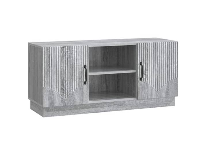 Roanoer TV Lowboard Graues Sonoma 102x34,5x47 cm Holzwerkstoff Modernes Fernsehschrank Design mit 2 Schwenktüren und Regalfach für Unterhaltungselektronik in Wohnzimmer oder Büro.