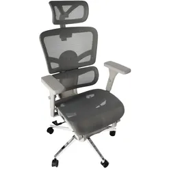 Ergonomischer, verstellbarer Bürostuhl mit Netzbespannung – Grau