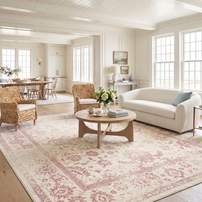 SAFAVIEH Adirondack Dakota Rustic Shabby Chic Distressed Rug