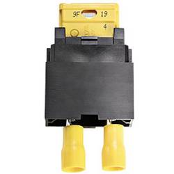 EFOY Sense fuse Sicherungen 158906013