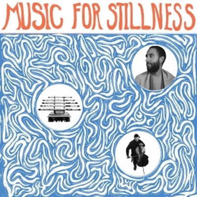 Music for Stillness - Harlan Silverman, Vinyl