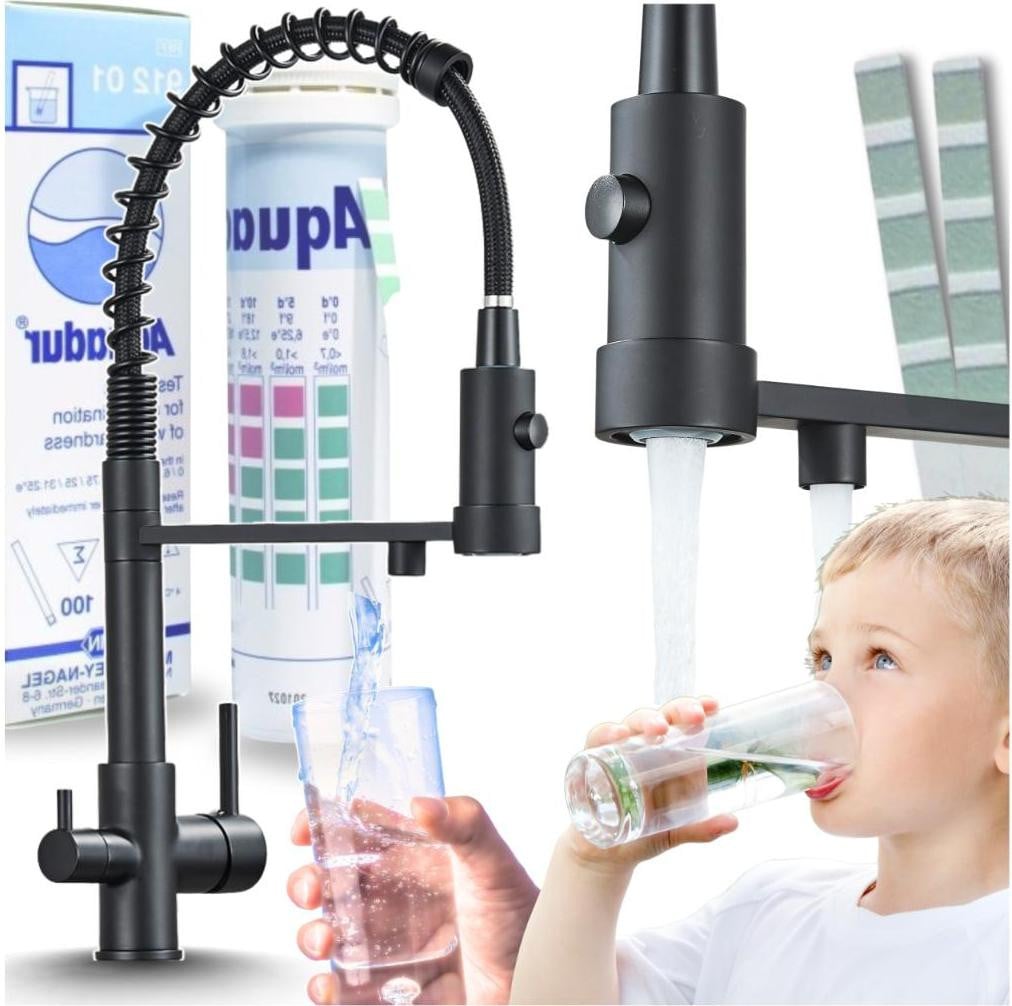 Ari Solid Spring Keukenmengkraan met waterfilteraansluiting en uitschuifbare douche, zwart mat, met keramische cartridge