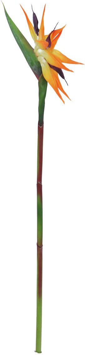 Europalms Paradiesvogel-Blume, Orange, 95cm