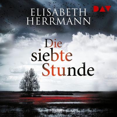 Die siebte Stunde. Joachim Vernau 2 - Elisabeth Herrmann, Audio, 9783742441898