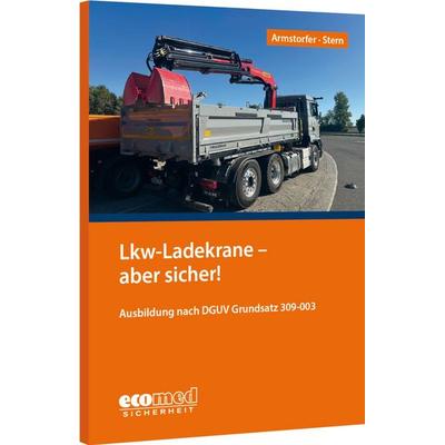 Lkw-Ladekrane – aber sicher!, Taschenbuch von Franz Armstorfer,Benjamin Stern, Ecomed-Storck, 978-3-609-22002-4